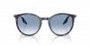 OKULARY RAY-BAN® RB 2204 14303F 54 ROZMIAR M
